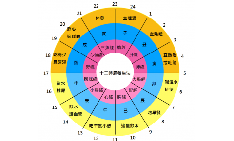 十二時辰養生法