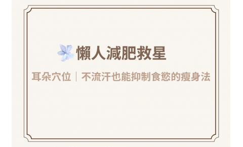 懶人減肥救星！中醫師公開5個耳朵穴位，不流汗也能抑制食慾的瘦身法