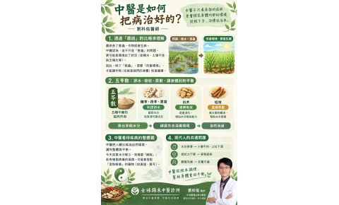 中醫是如何把病治好的?